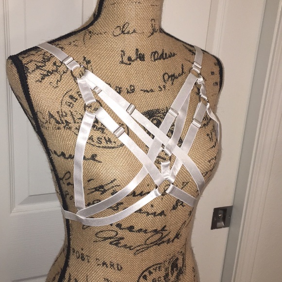Body harness - Picture 2 of 4
